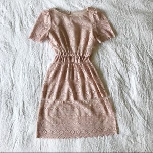 Vintage blush lace dress